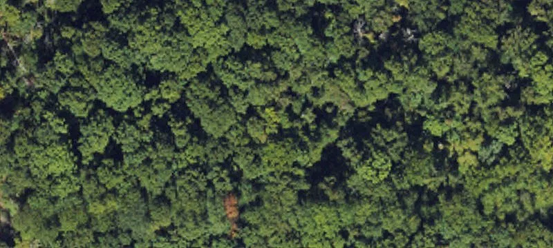 Mountain Land Parcel