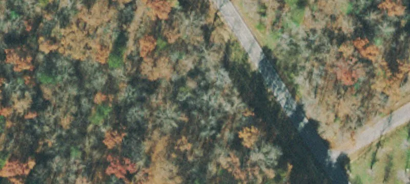 Wooded Residential Lot