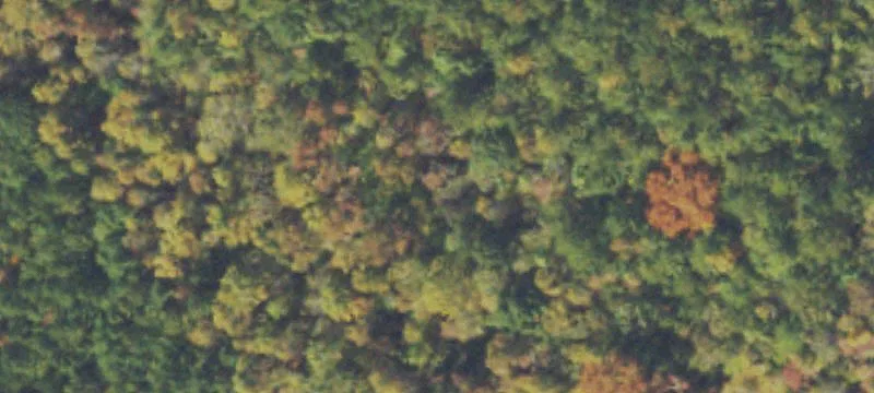 Subdividable Residential Land Tract