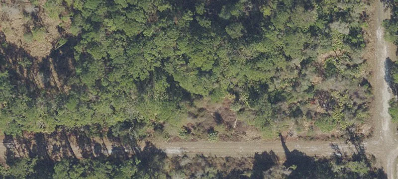 Partially Cleared Residential Lot