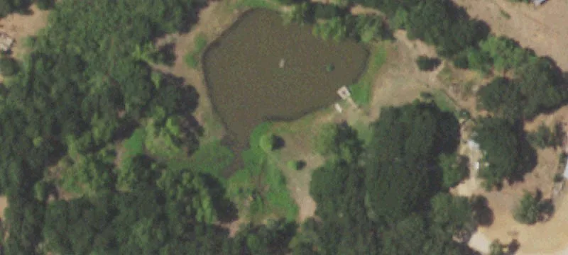 Fully Fenced Farm Property