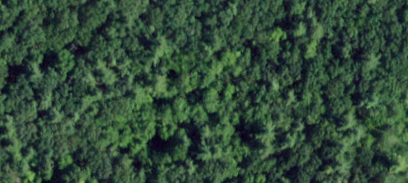 Recreational Hunting Acreage