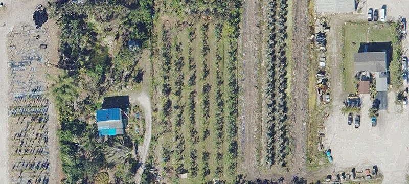 Tropical Fruit Grove Property