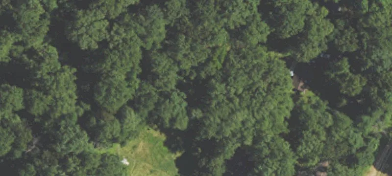 Partly Wooded Residential Lot