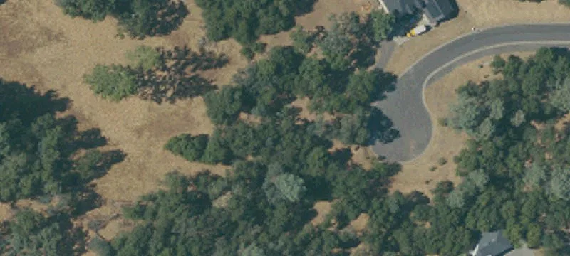 Treed Resort Home Lot