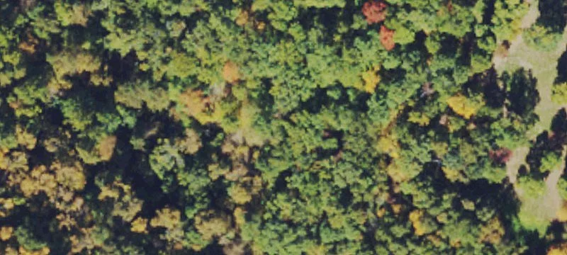 Rolling Wooded Hunting Land