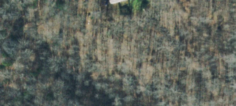 Elevated Residential Acreage Tract