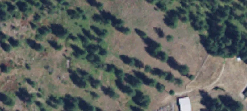 Treed Residential Development Land