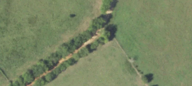 Improved Cattle Ranch Land