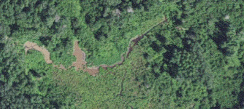 Recreational Hunting Land