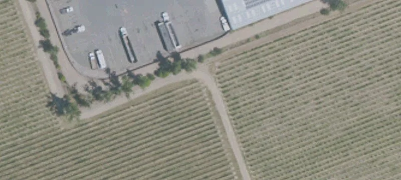 Vineyard with Highway Frontage