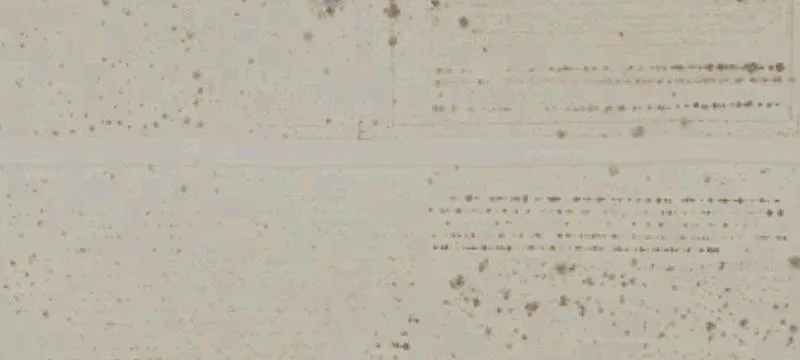Vacant Land Parcel