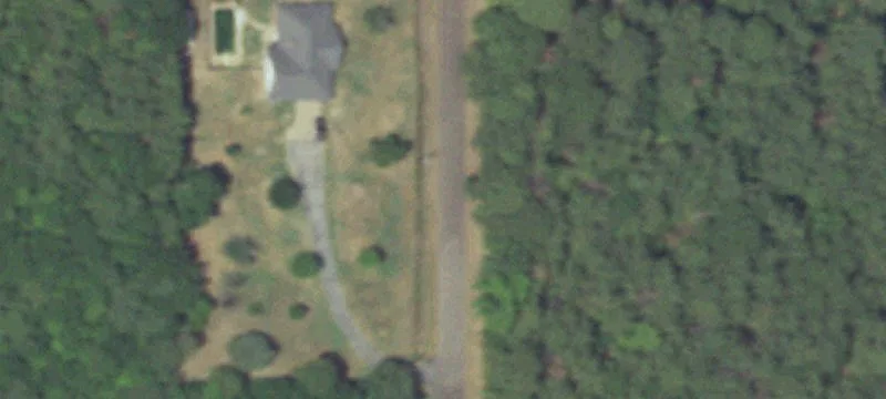 Wooded Land Tract