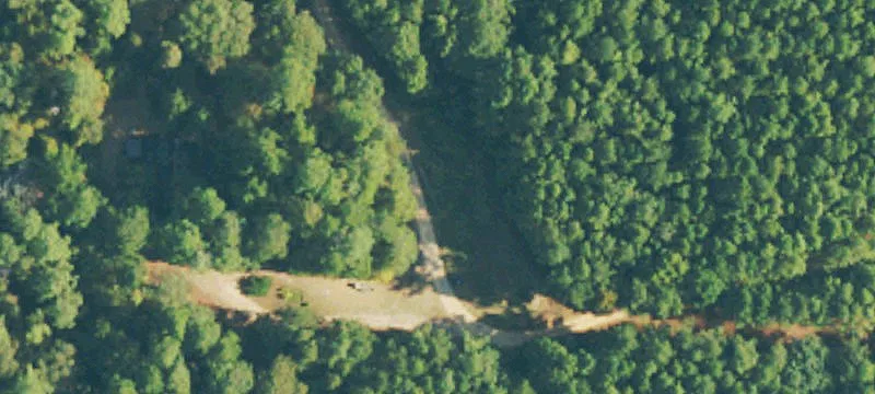 Wooded Hunting Land with Road Frontage