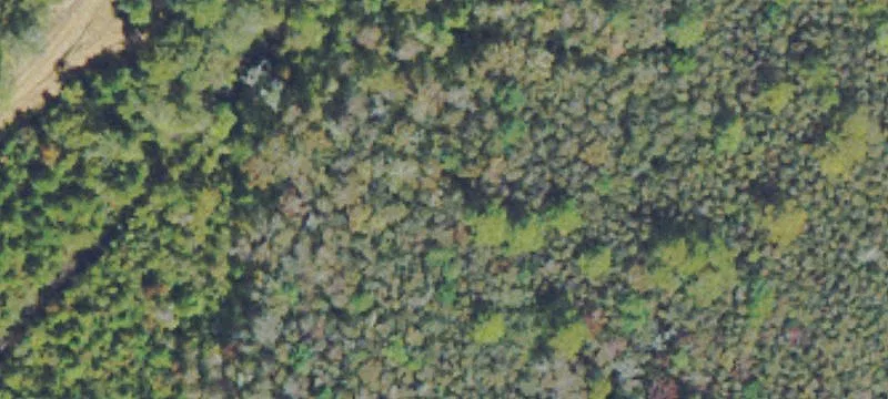 Land with Hunting Preserve Views