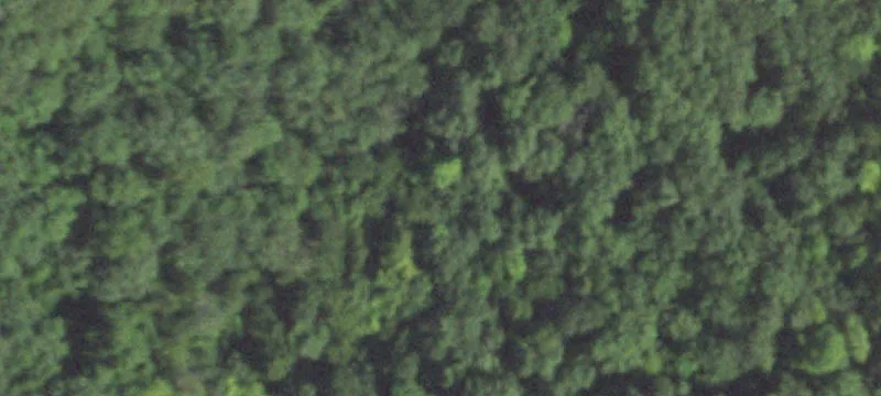 Wooded Hunting Land Parcel