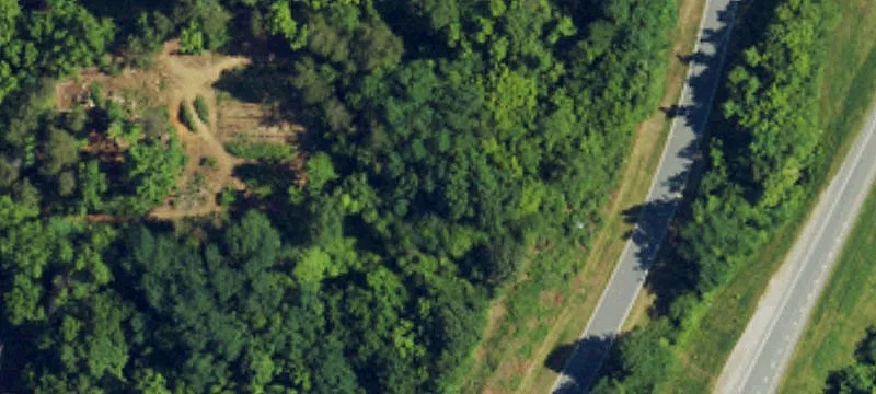 Vacant Land with Wooded Terrain