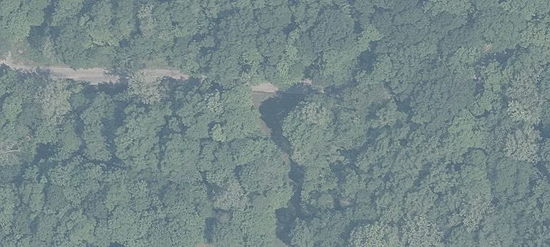 Wooded Hunting and Recreation Land