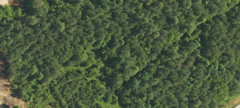 Residential Land Lot with Views