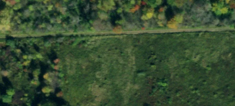 Custom Log Home on Farmland