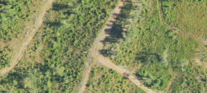 Hunting and Timber Land Tract