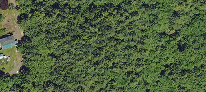 Waterfront Multi-Use Land Lot