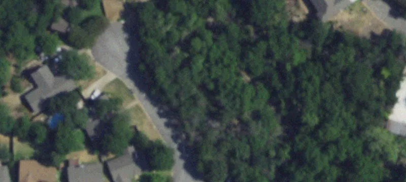 Wooded Cul-de-Sac Home Lot