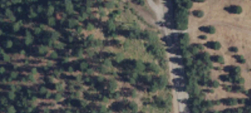 Wooded Residential Building Lot