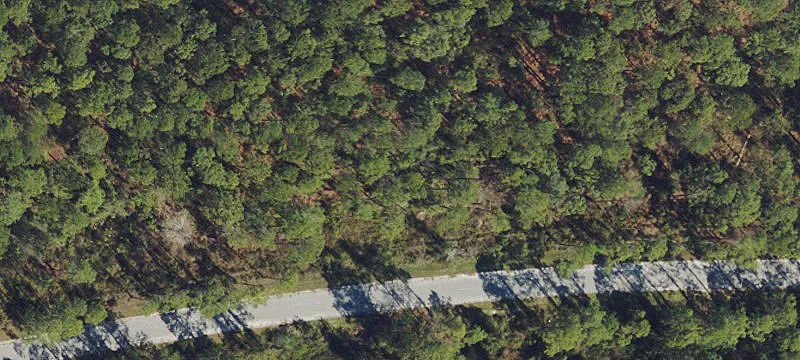 Vacant Homesite in Golf Community