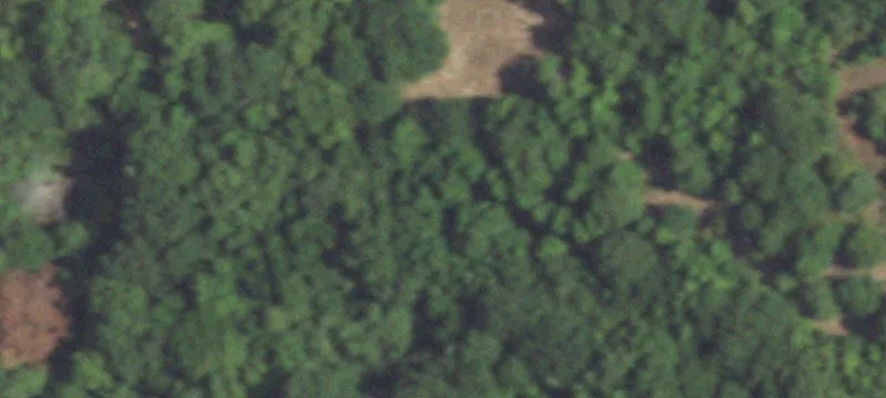 Wooded Residential Land Tract