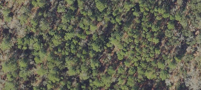 Cleared Open Rural Build Site