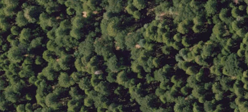 Residential Development Lot