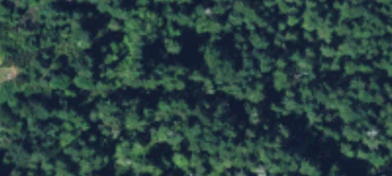 Large Lot Subdivision Land