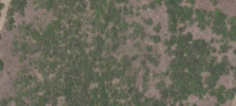 Cleared Country Land with Shop