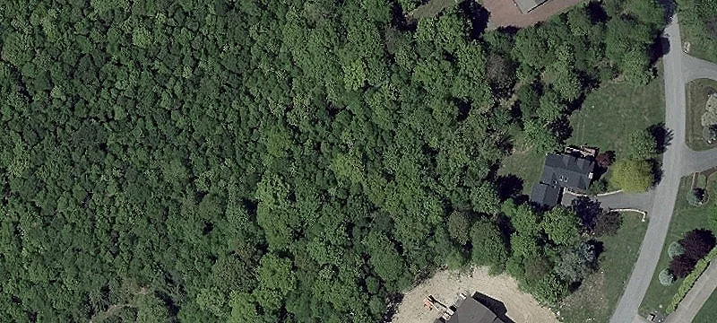 Wooded Mountainview Buildable Lot