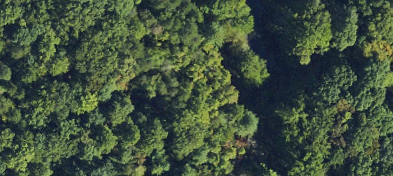 Mostly Level Mountain Land Tract