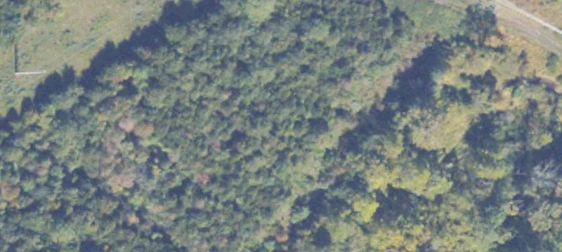16.23-Acre Specialty Property Land