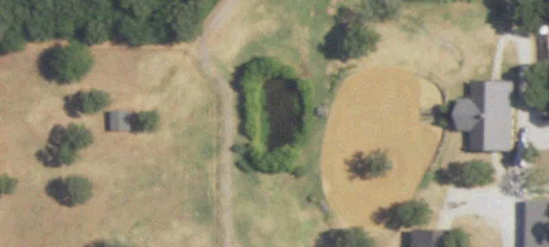 Turnkey Equestrian Estate