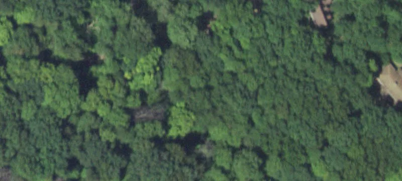 Wooded Residential Build Site