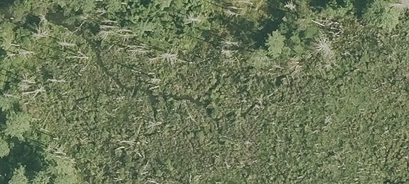 Historic Island Lot Land