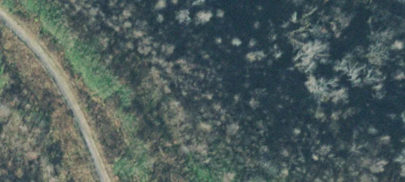 Recreational Hunting Land with Easement