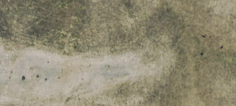 Rolling Hunting Land With Private Road