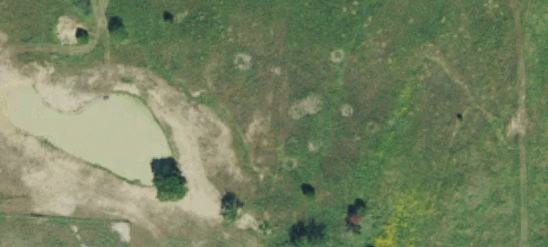 Country Estate Acreage with Ponds