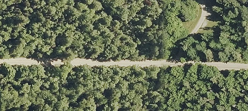 Wooded Residential Building Lot