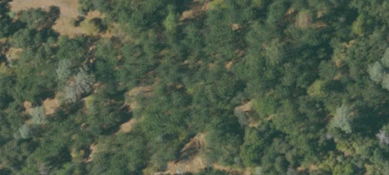 Rural Acreage with Multiple Structures