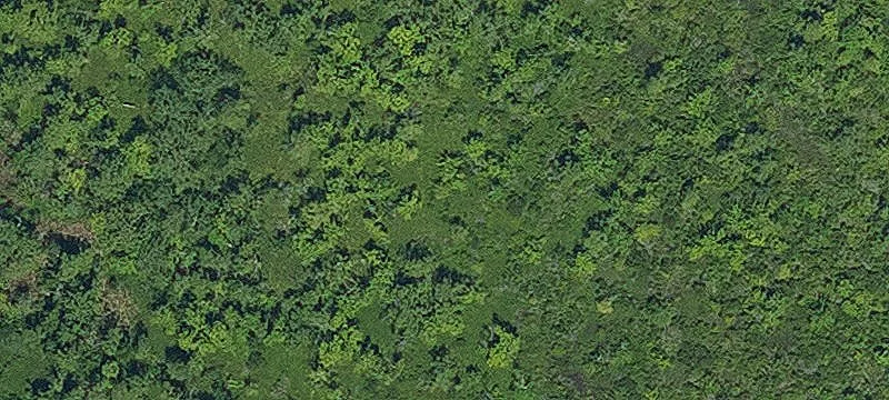 Cleared Waterfront-Adjacent Lot