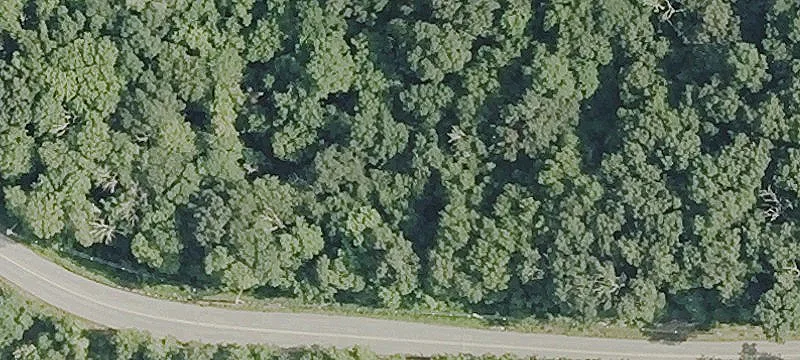 Development Land with Dual Road Frontage
