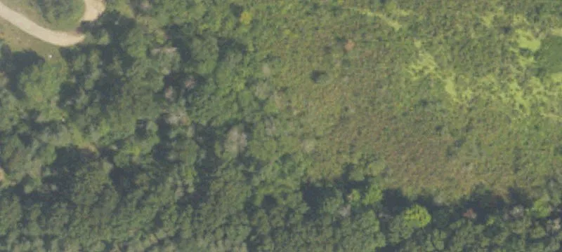 Hunting and Homesite Land Acreage