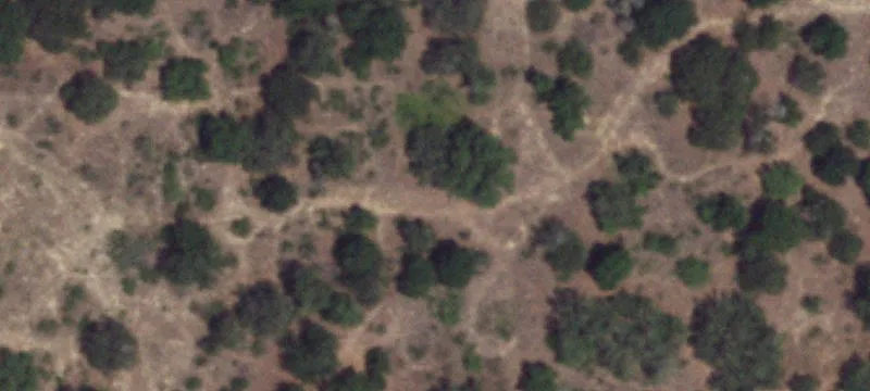 Undeveloped Agricultural Land Parcel