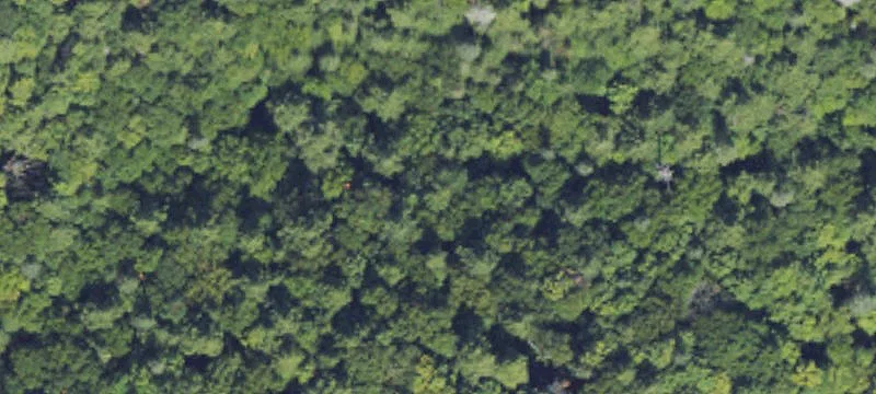 Waterfront Land Parcel